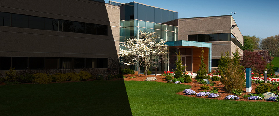 Scotch Plains Landscapers