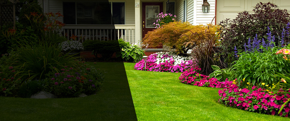 Scotch Plains Landscapers