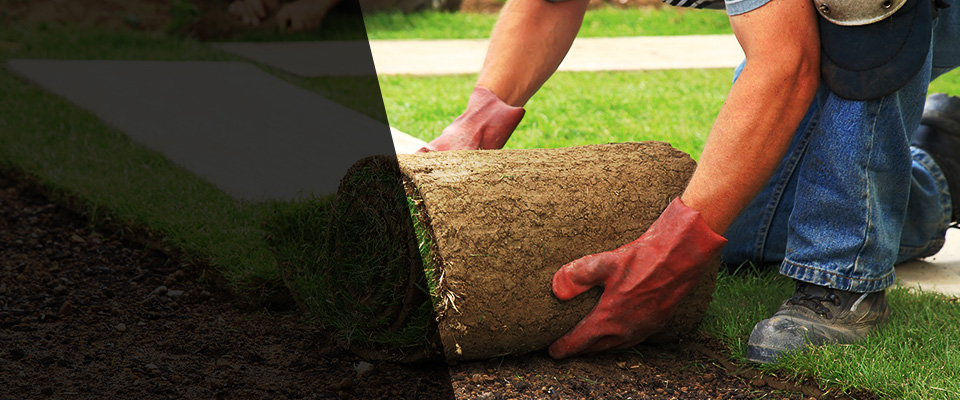 Scotch Plains Landscapers